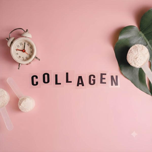 Premium Kollagenpulver, Marine Kollagen, Rinderkollagen und UC-II Kollagen – hochwertige Kollagen-Peptide und Beauty-Nahrungsergänzung für Haare, Haut und Nägel