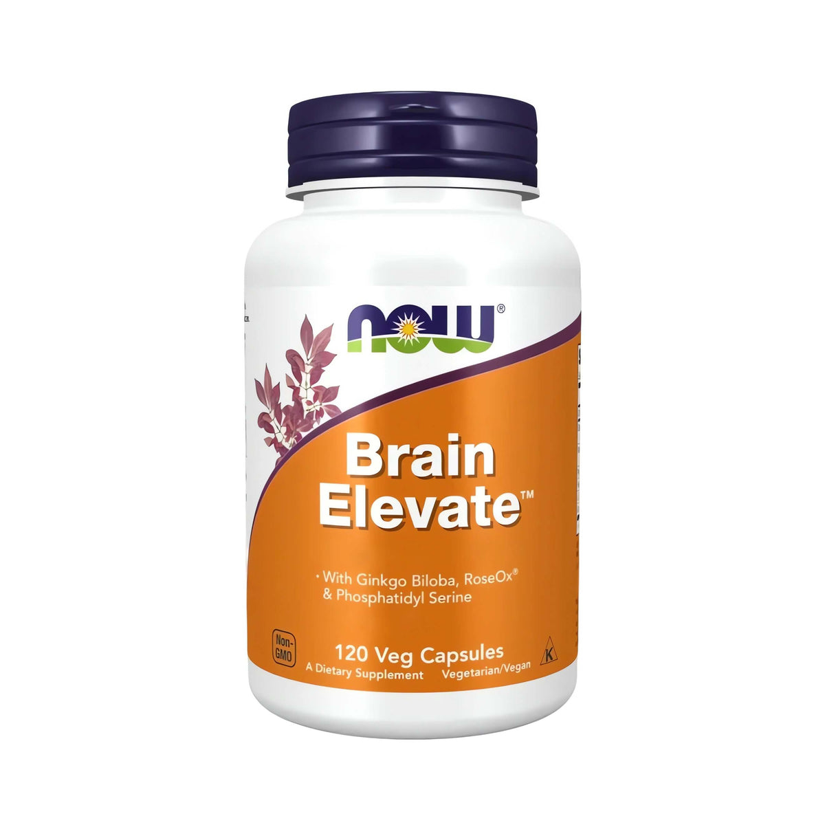 NOW Foods Brain Elevate™ Kapseln mit Ginkgo Biloba – hochwertige Nahrungsergänzung für mentale Klarheit, Fokus, Konzentration, Gedächtnis und tägliche Gehirnversorgung