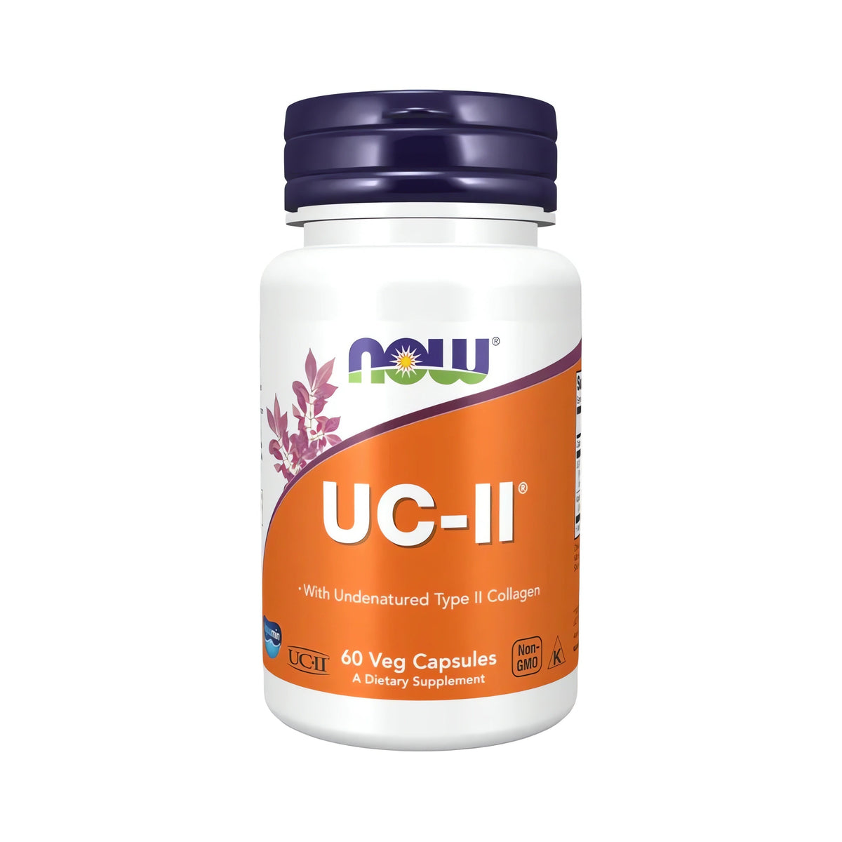 NOW Foods UC-II Type II Collagen Capsules Premium Kollagen Kapseln mit undenaturiertem Typ II Kollagen Aquamin und Calcium