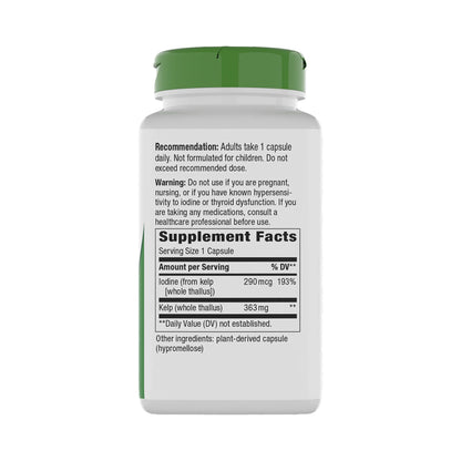 Nature's Way Kelp – Jod aus Kelp, 290 µg – 100 oder 180 Kapseln